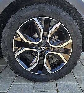 Citroen C4 e-C4 Shine Drive-Assist Plus+Kälte-Pack