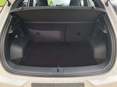 DFSK Fengon 500 1.5 CVT Automatik Comfort*WKR-LM