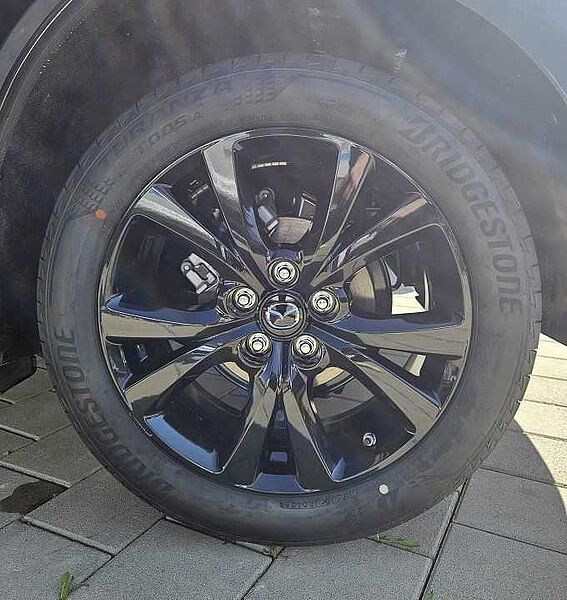 Mazda CX-30 2.5 e-SKYACTIV G 140 6AT FWD Homura