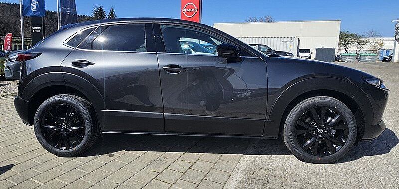 Mazda CX-30 2.5 e-SKYACTIV G 140 6AT FWD Homura