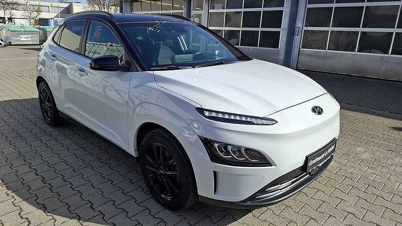 Hyundai Kona Elektro 39 kWh Trend+Navi+Assist+WKR-LM