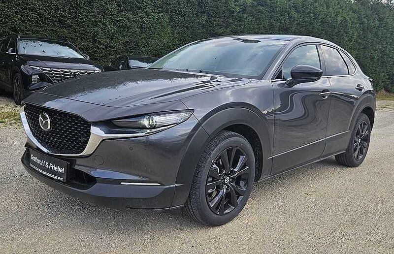 Mazda CX-30 2.0 e-SKYACTIV X 186 AT AWD Homura ALLRAD