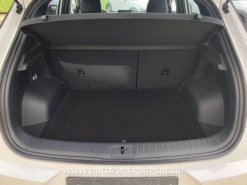 DFSK Fengon 500 1.5 CVT Automatik Comfort*WKR-LM